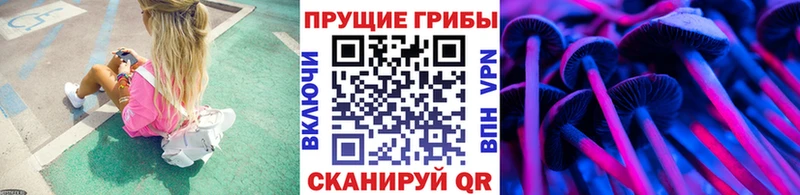 Галлюциногенные грибы MAGIC MUSHROOMS  нарко площадка состав  Талица  цены  